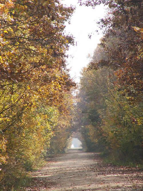 Manastirea Buna Vestire - imagine istorica